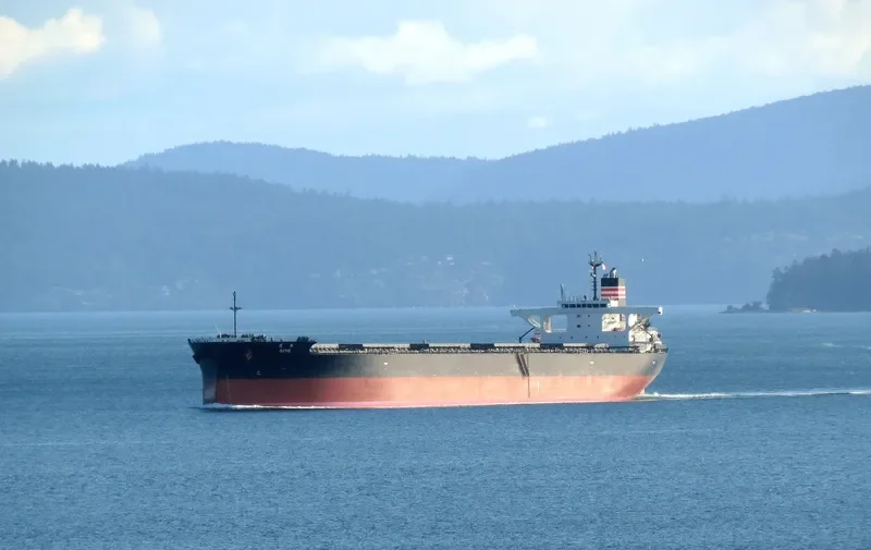 SOYO Bulk Carrier IMO 9552848 photo 9