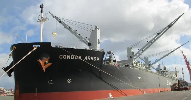 CONDOR ARROW Bulk Carrier IMO 9552886 photo 9