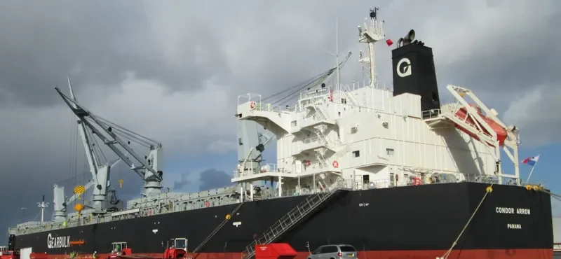 CONDOR ARROW Bulk Carrier IMO 9552886 photo 10