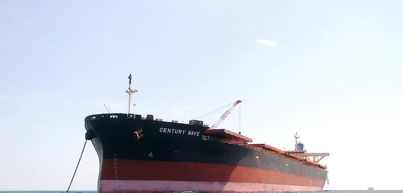 CENTURY WAVE Bulk Carrier IMO 9552915 photo 3
