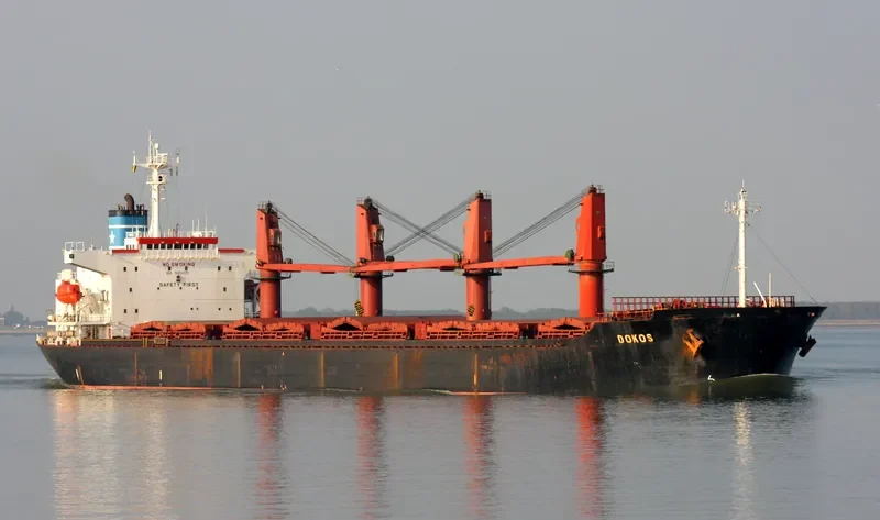 CENTURY WAVE Bulk Carrier IMO 9552915 photo 9