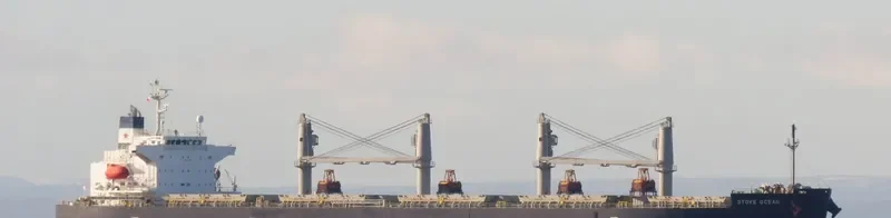 STOVE OCEAN Bulk Carrier IMO 9552953 photo 3