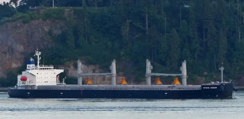 STOVE OCEAN Bulk Carrier IMO 9552953 photo 5
