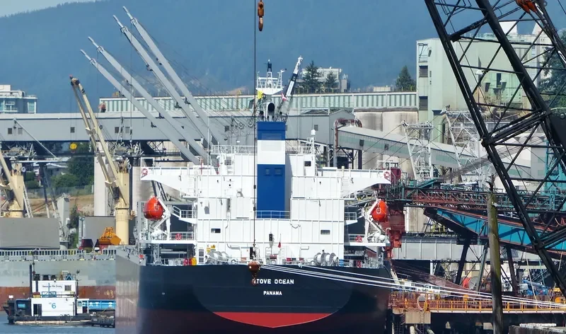 STOVE OCEAN Bulk Carrier IMO 9552953 photo 7