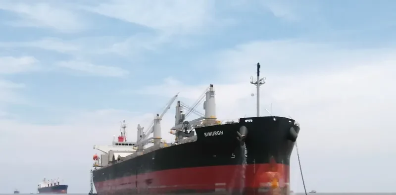 SIMURGH Bulk Carrier IMO 9552965 photo 2