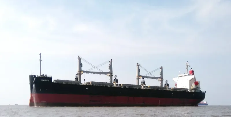 SIMURGH Bulk Carrier IMO 9552965 photo 5