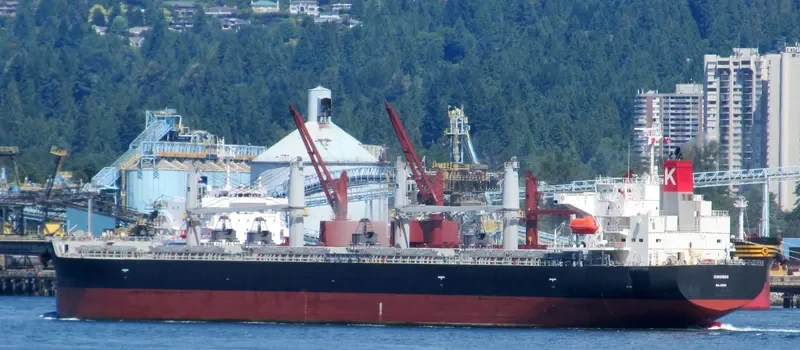 SIMURGH Bulk Carrier IMO 9552965 photo 9