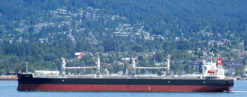 SIMURGH Bulk Carrier IMO 9552965 photo 10