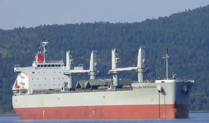BELLINA COLOSSUS Bulk Carrier IMO 9552977 photo 6