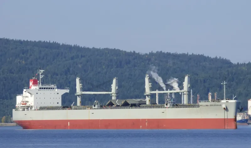 BELLINA COLOSSUS Bulk Carrier IMO 9552977 photo 7