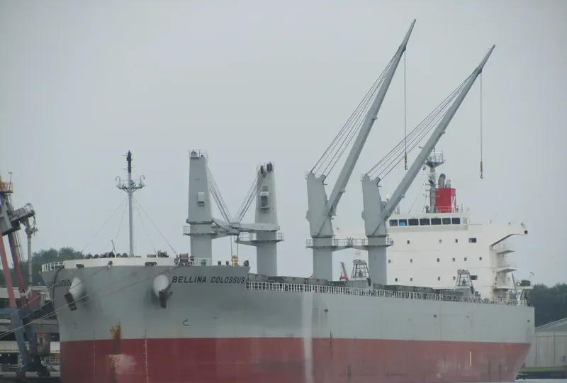BELLINA COLOSSUS Bulk Carrier IMO 9552977 photo 9