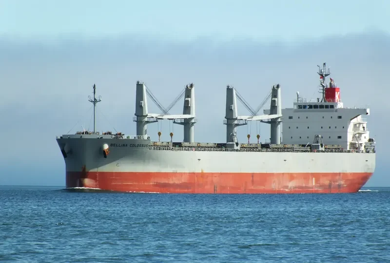 BELLINA COLOSSUS Bulk Carrier IMO 9552977 photo 10