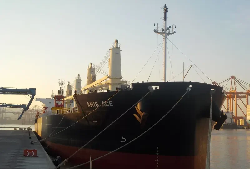AMIS ACE Bulk Carrier IMO 9552989