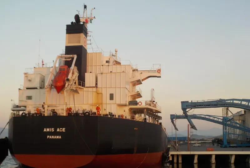 AMIS ACE Bulk Carrier IMO 9552989 photo 2