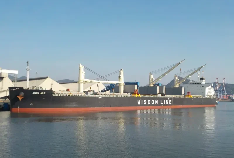AMIS ACE Bulk Carrier IMO 9552989 photo 4