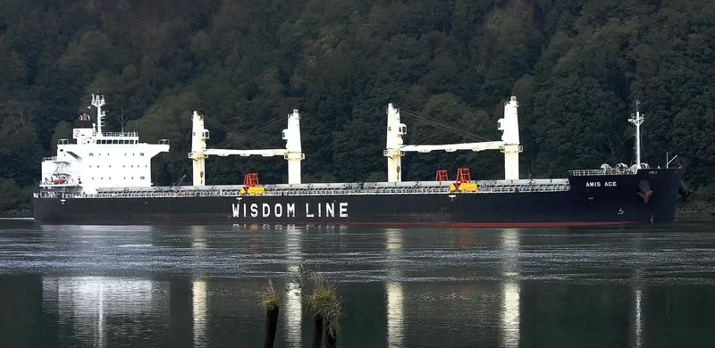 AMIS ACE Bulk Carrier IMO 9552989 photo 7
