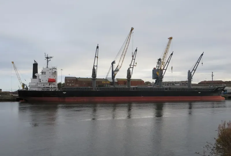 OCEAN SPRING Bulk Carrier IMO 9553012 photo 5