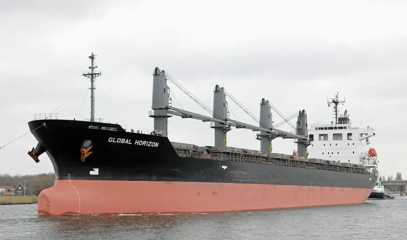 OCEAN SPRING Bulk Carrier IMO 9553012 photo 10