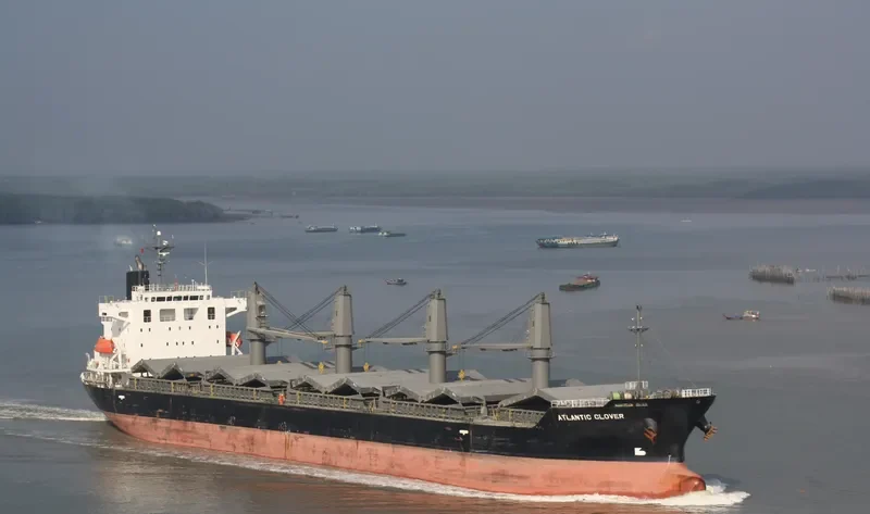 ATLANTIC CLOVER Bulk Carrier IMO 9553024