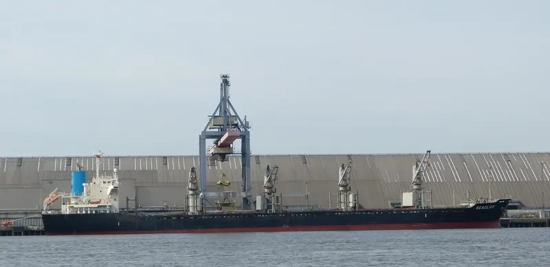LUCKY RIVER Bulk Carrier IMO 9553139 photo 3