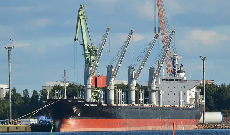 APOGEE ENDEAVOUR Bulk Carrier IMO 9553141