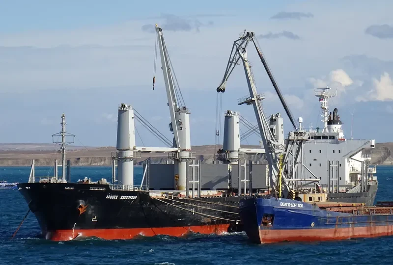 APOGEE ENDEAVOUR Bulk Carrier IMO 9553141 photo 4