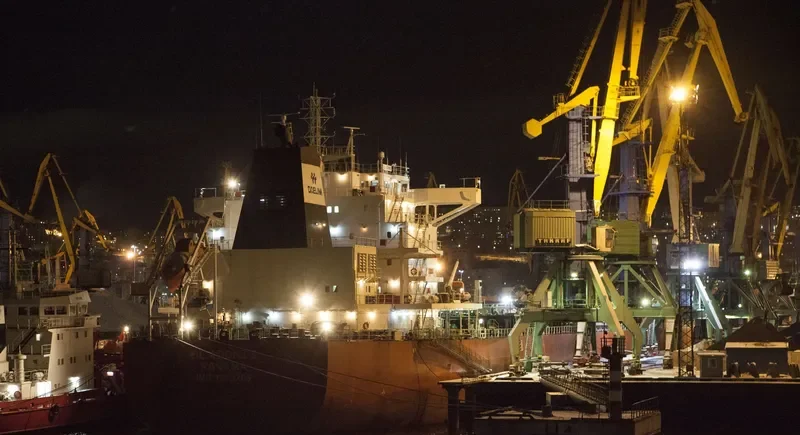 DL ADONIS Bulk Carrier IMO 9553206 photo 3