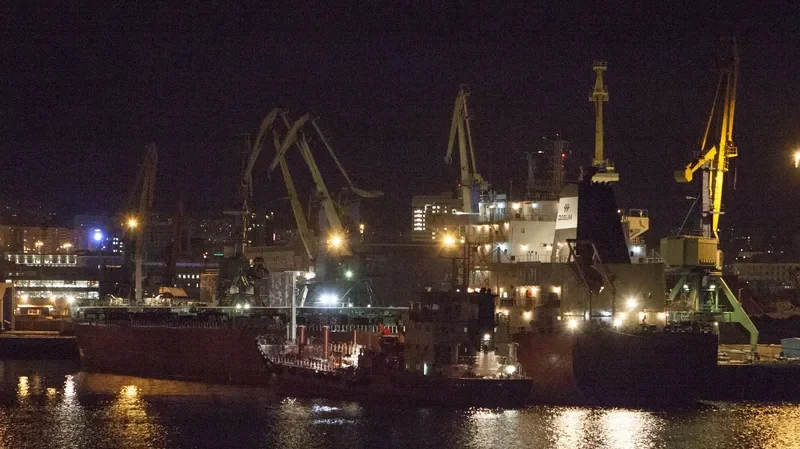DL ADONIS Bulk Carrier IMO 9553206 photo 5