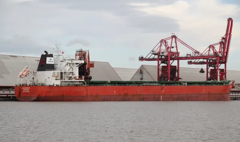 DL ADONIS Bulk Carrier IMO 9553206 photo 8