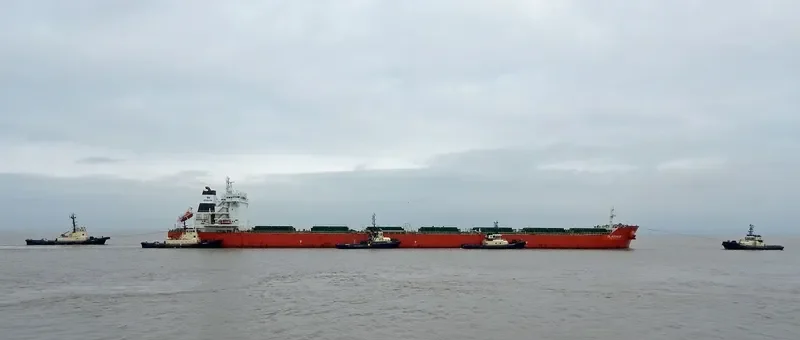 DL ADONIS Bulk Carrier IMO 9553206 photo 10