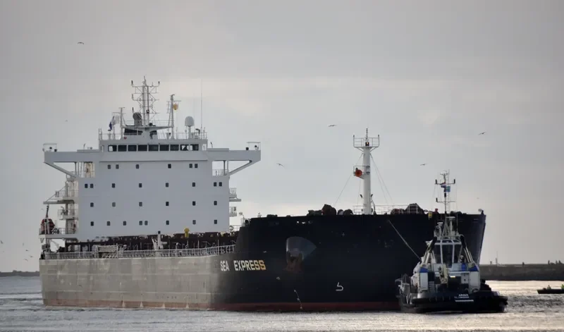 HUA CONG ZHI XING Bulk Carrier IMO 9553218 photo 3