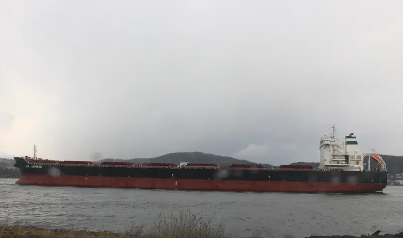 HUA CONG ZHI XING Bulk Carrier IMO 9553218 photo 5