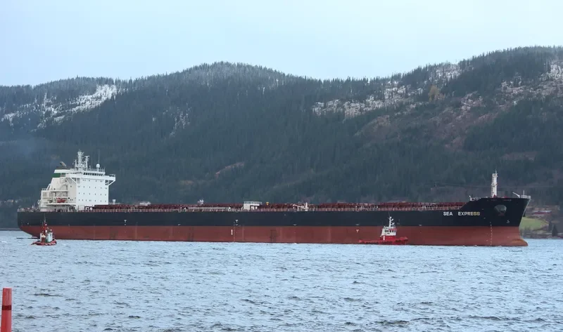 HUA CONG ZHI XING Bulk Carrier IMO 9553218 photo 6