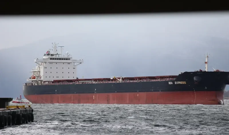 HUA CONG ZHI XING Bulk Carrier IMO 9553218 photo 7