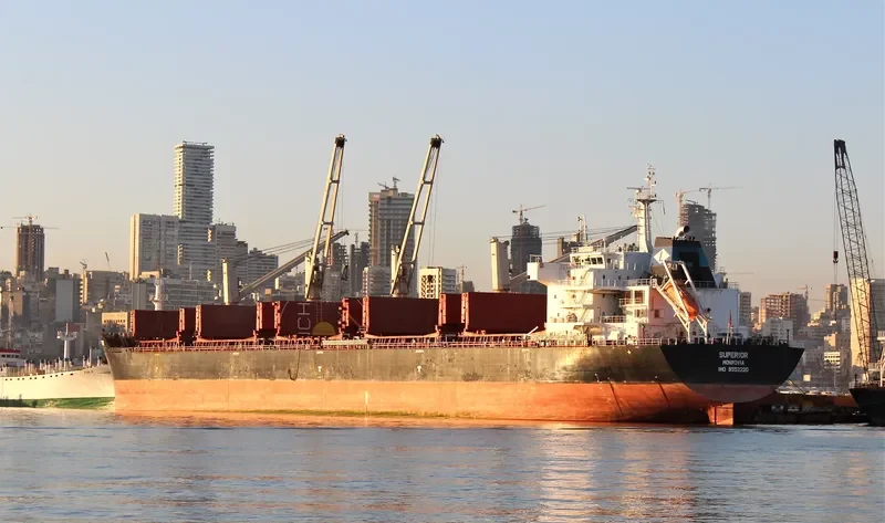 SUPERIOR Bulk Carrier IMO 9553220 photo 9