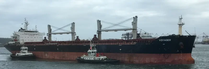 VOYAGER Bulk Carrier IMO 9553256