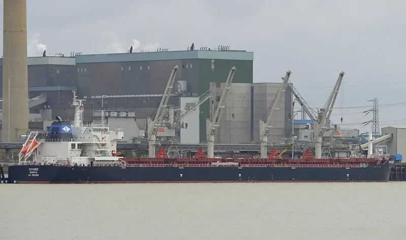 VOYAGER Bulk Carrier IMO 9553256 photo 8
