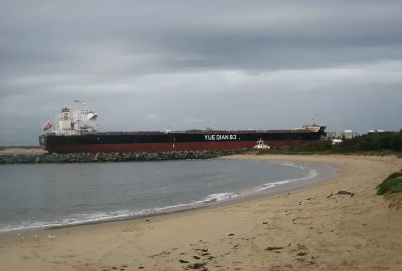 YUE DIAN 83 Bulk Carrier IMO 9553775