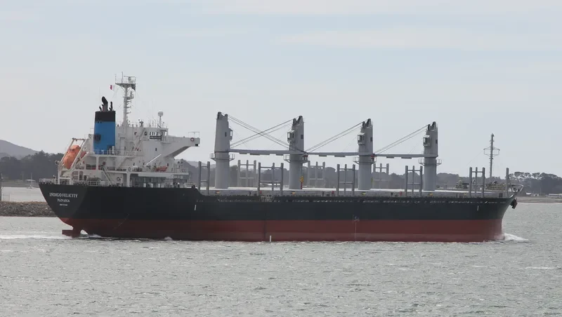 GANT GRACE Bulk Carrier IMO 9553804 photo 5