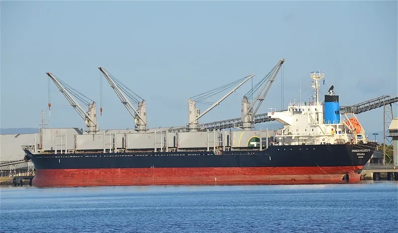GANT GRACE Bulk Carrier IMO 9553804 photo 9