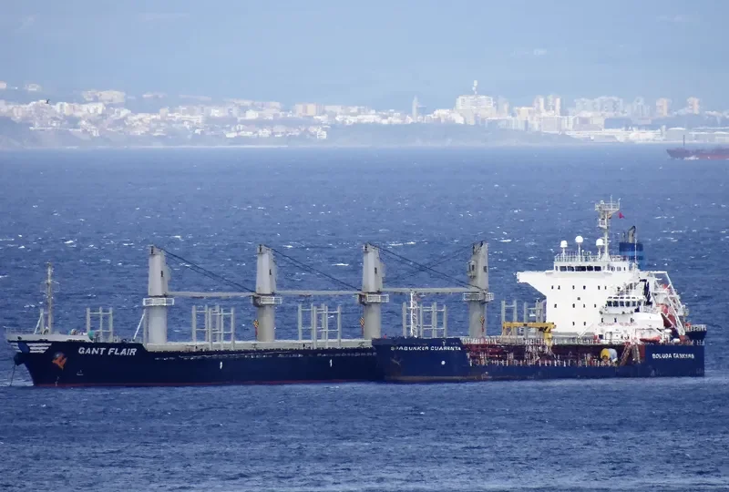 GANT FLAIR Bulk Carrier IMO 9554066 photo 3