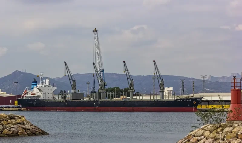 GANT FLAIR Bulk Carrier IMO 9554066 photo 4