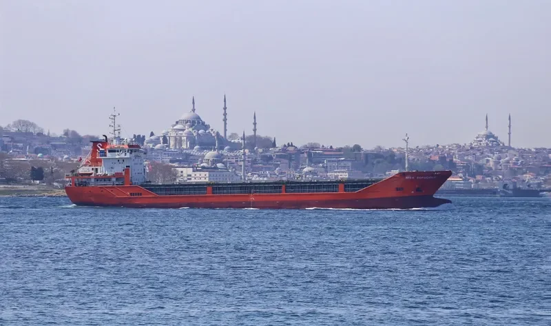 NISA SOFUOGLU General Cargo IMO 9554121 photo 8