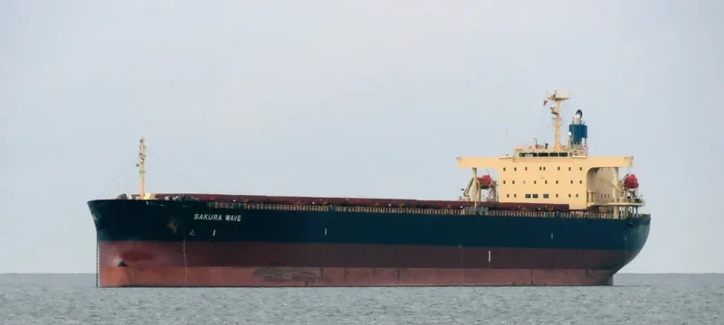 SAKURA WAVE Bulk Carrier IMO 9554183 photo 6