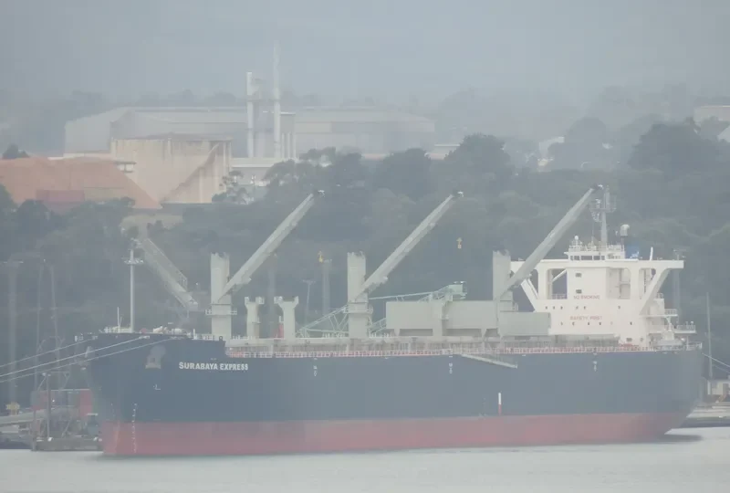 SURABAYA EXPRESS Bulk Carrier IMO 9554731 photo 2