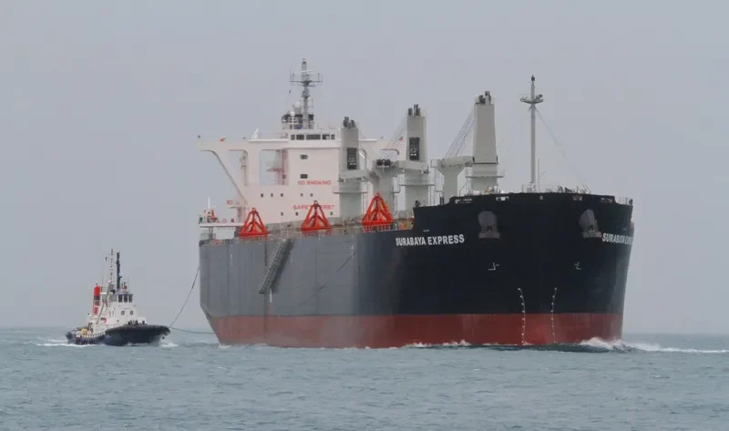 SURABAYA EXPRESS Bulk Carrier IMO 9554731 photo 4