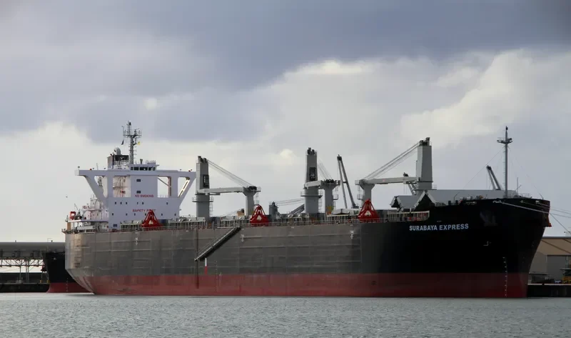 SURABAYA EXPRESS Bulk Carrier IMO 9554731 photo 5