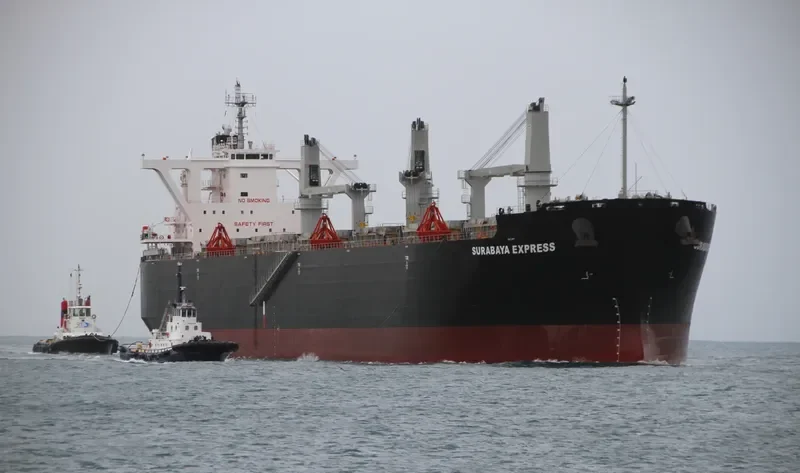 SURABAYA EXPRESS Bulk Carrier IMO 9554731 photo 6