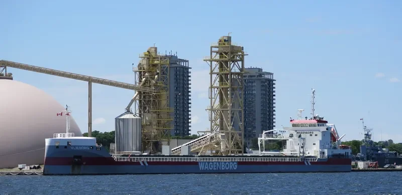 VLIEBORG Container Ship IMO 9554781