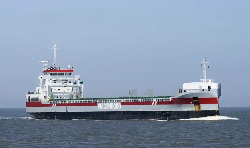 VLIEBORG Container Ship IMO 9554781 photo 6